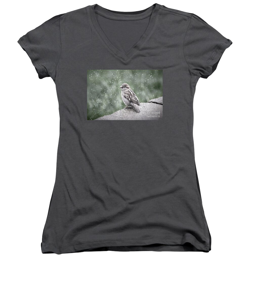 Nature Women's V-Neck featuring the photograph Winter Sparrow by Sharon McConnell