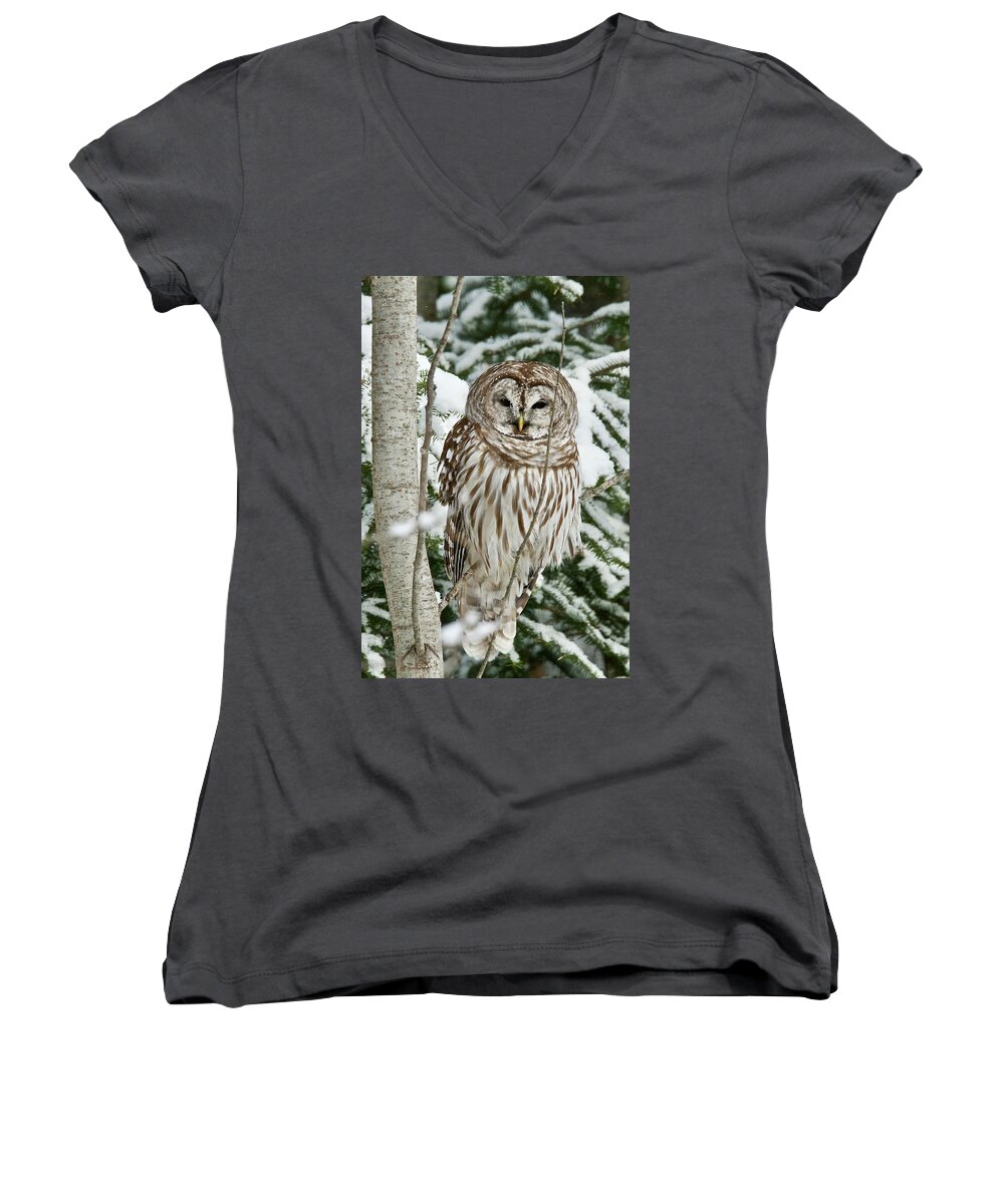 Owl Women's V-Neck featuring the photograph Winter Time Barred Owl by Michael Peychich