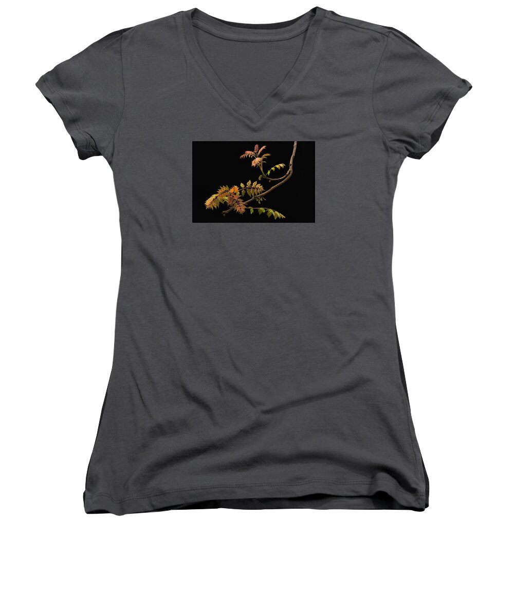 Wisteria Women's V-Neck featuring the photograph Wisteria Colors by Ken Barrett