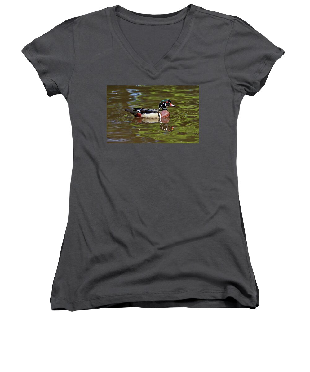 Wood Duck Women's V-Neck featuring the photograph Wood Duck by Sandy Keeton
