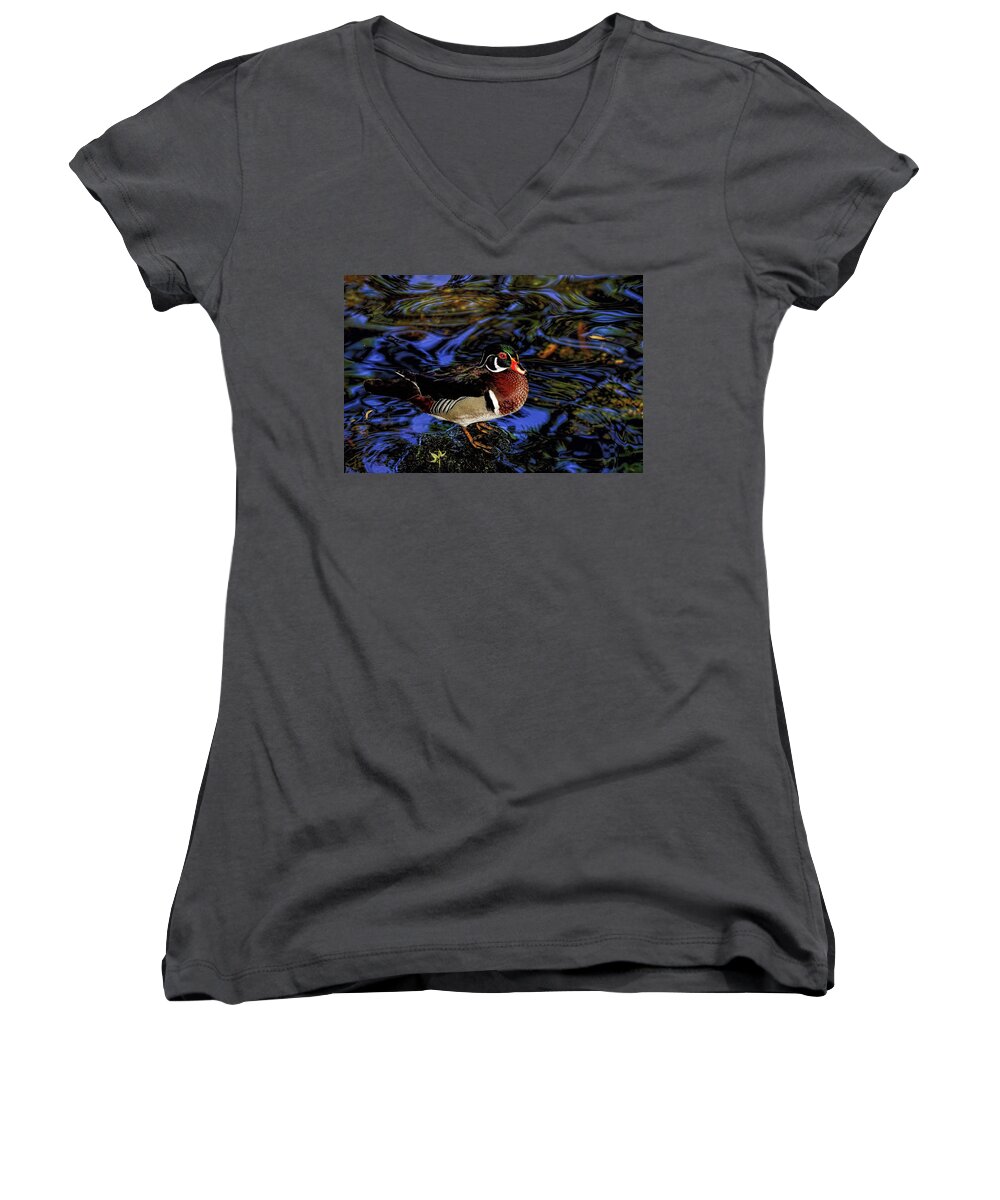 Wood Duck Women's V-Neck featuring the photograph Wood Duck by Stuart Harrison