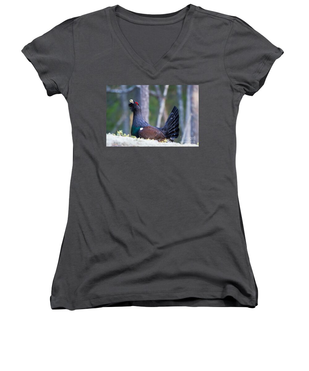 Wood Grouse Women's V-Neck featuring the photograph Wood grouse by Torbjorn Swenelius