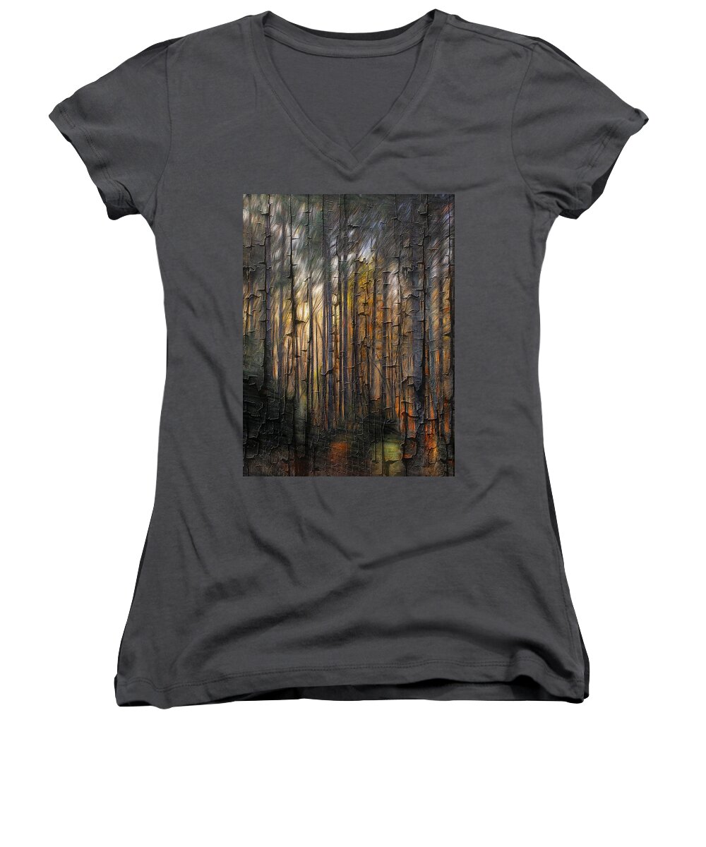 Forest Women's V-Neck featuring the photograph Wood in the Forest by Phyllis Meinke