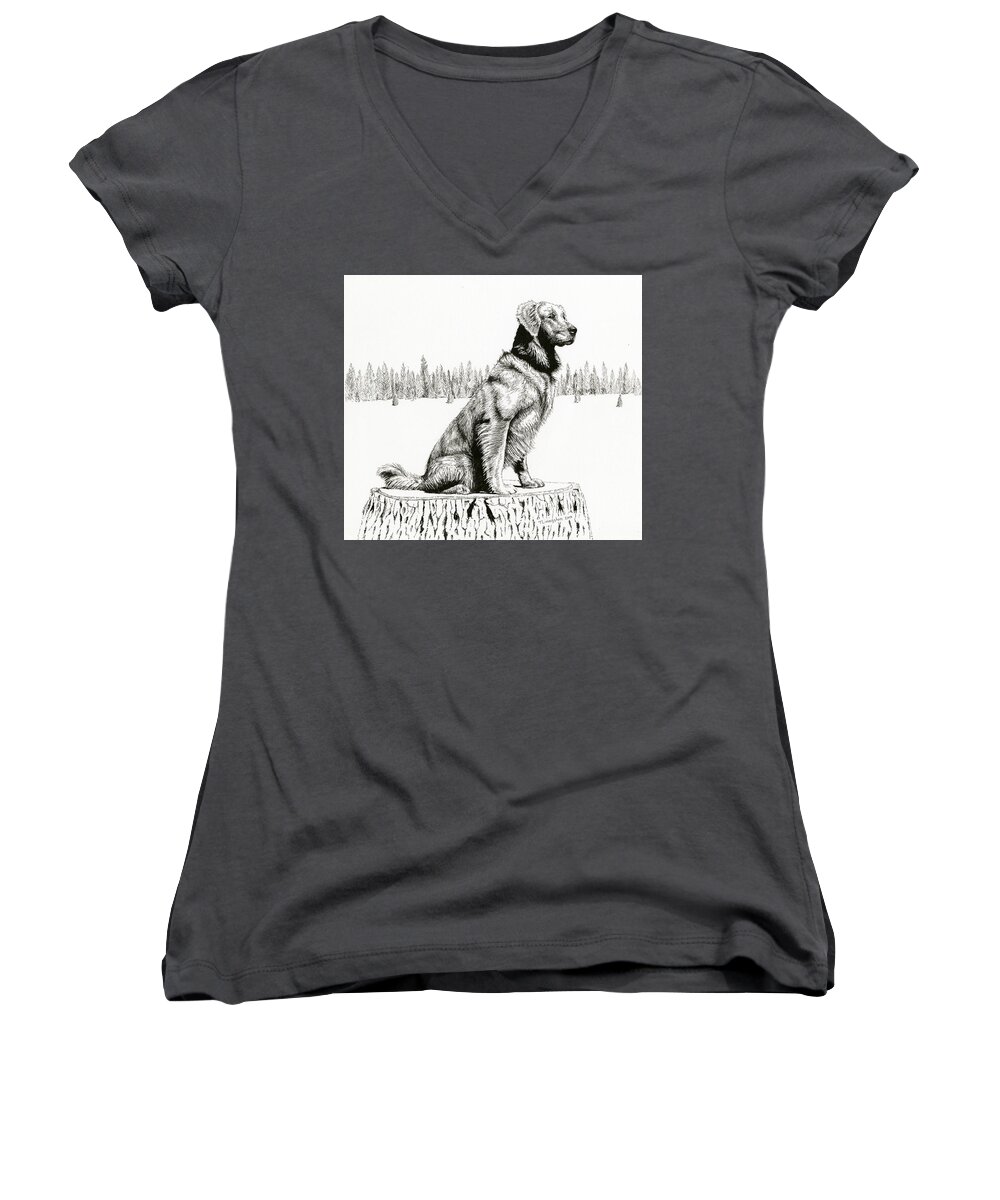 Forester's Dog Women's V-Neck featuring the drawing Woods Dog by Timothy Livingston