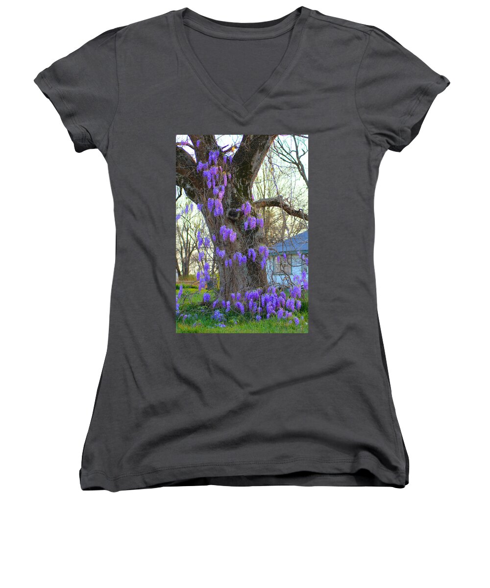 Wysteria Women's V-Neck featuring the photograph Wysteria Tree by Karen Wagner