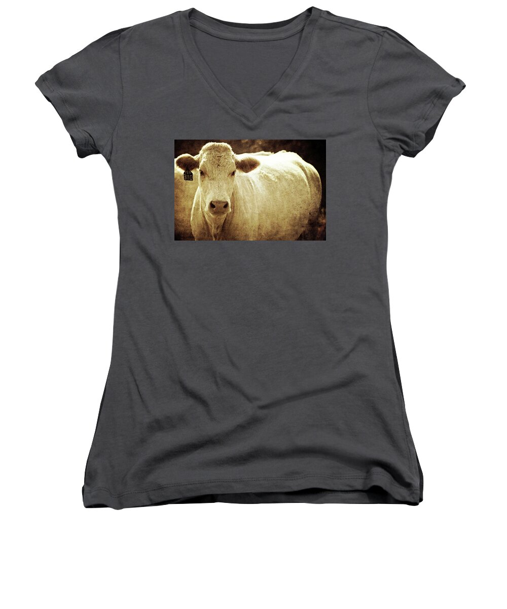 Cow; Herd; Cattle; Texture; Textures; Moody; Face; Animals; Animal; Farm; Texas; Country; Rural; Cows; Countryside; Nature; Landscape; Barnyard; Mammal; Livestock; Farming; White; Agriculture; Farmland; Land; Beef; Meat; Ranch; American; America; Vegetation; Food; Domestic Women's V-Neck featuring the photograph Yeg 3110 by Trish Mistric