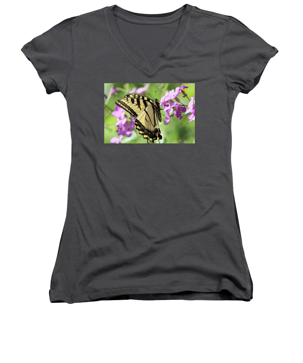 Nature Women's V-Neck featuring the photograph Yellow Butterfly by David Stasiak