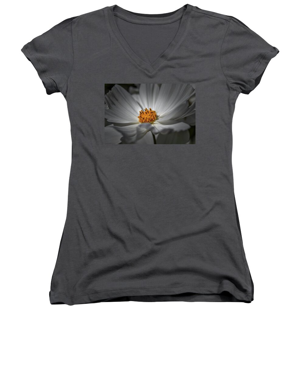 Yellow Hart Women's V-Neck featuring the photograph Yellow Hart #h8 by Leif Sohlman