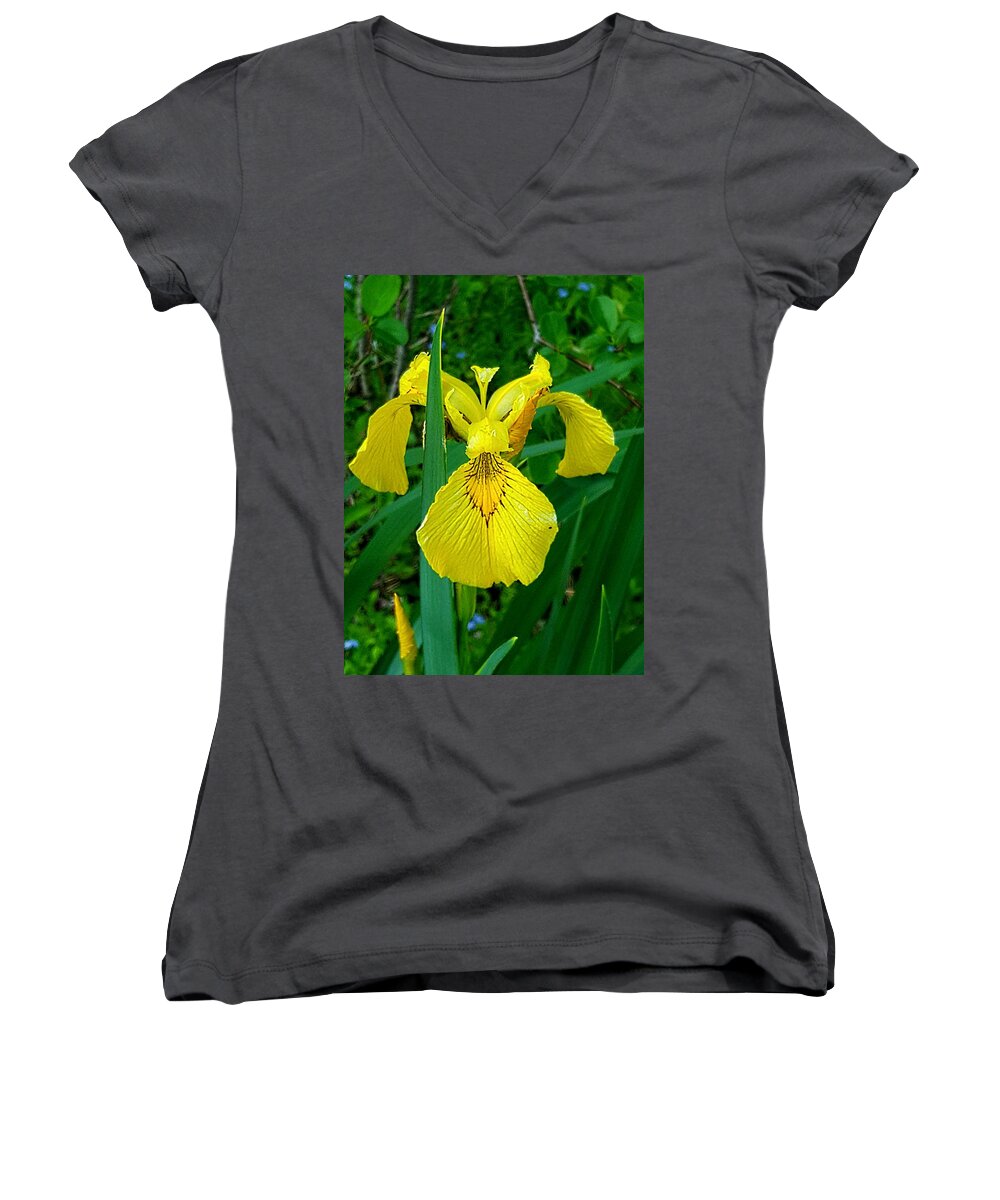 Lupins Women's V-Neck featuring the photograph Yellow Iris by Michael Graham
