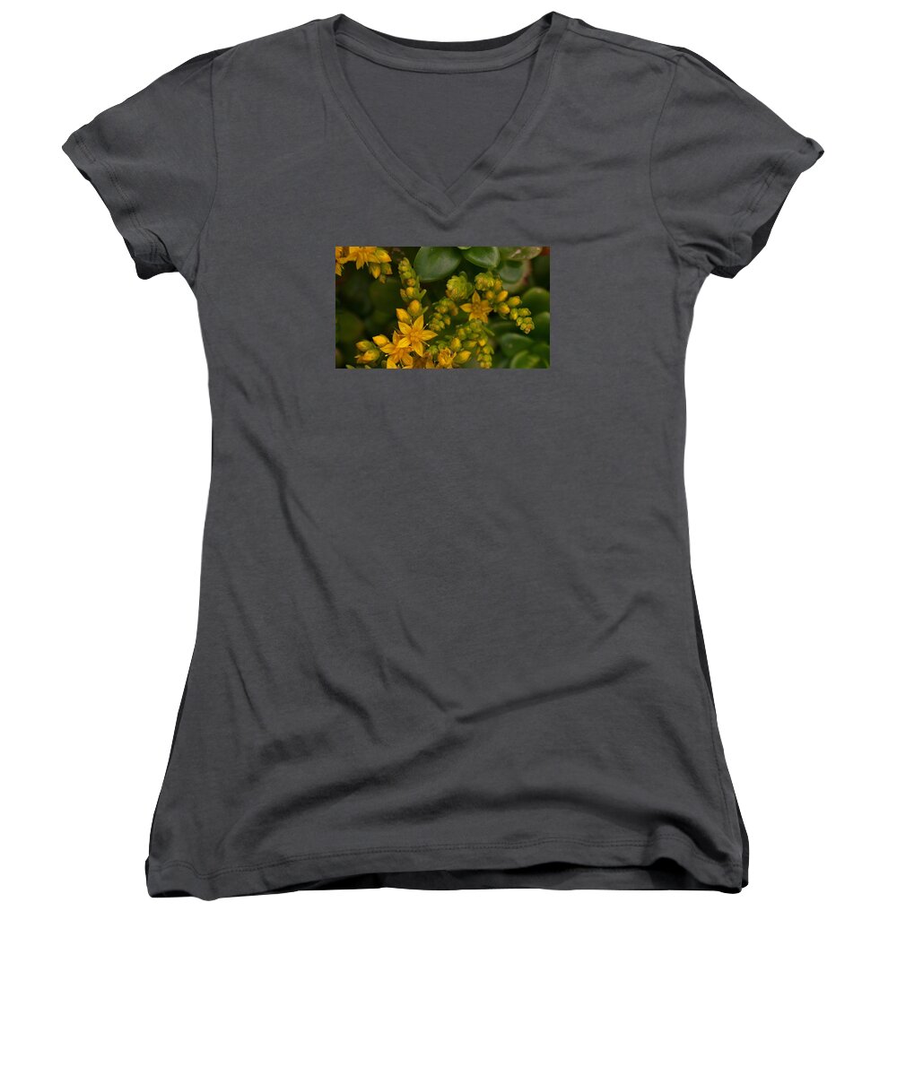 Yellow Women's V-Neck featuring the photograph Yellow Sedum by Richard Brookes