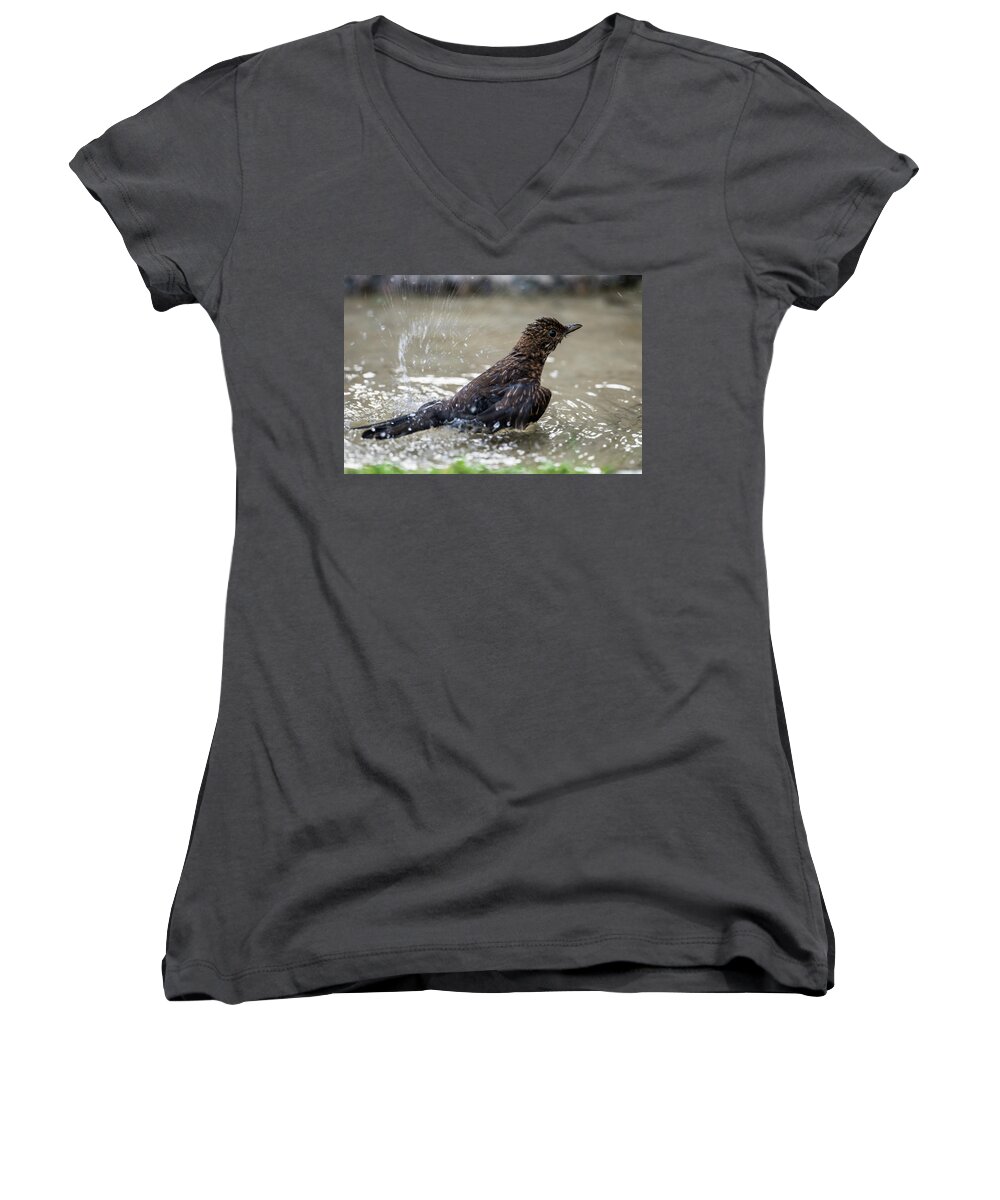 Young Blackbird's Bath Women's V-Neck featuring the photograph Young Blackbird's bath by Torbjorn Swenelius