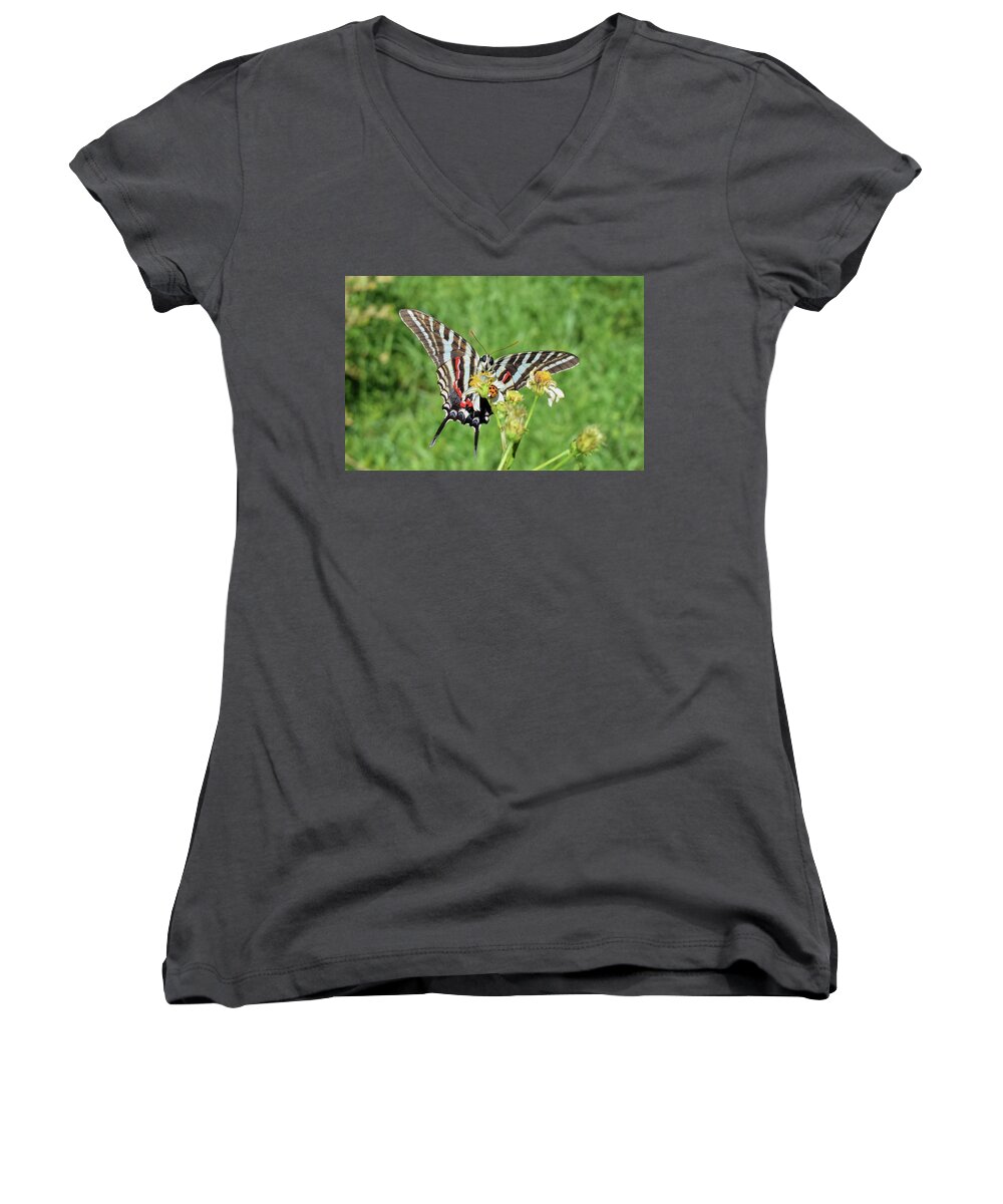 Photograph Women's V-Neck featuring the photograph Zebra Swallowtail and Ladybug by Larah McElroy