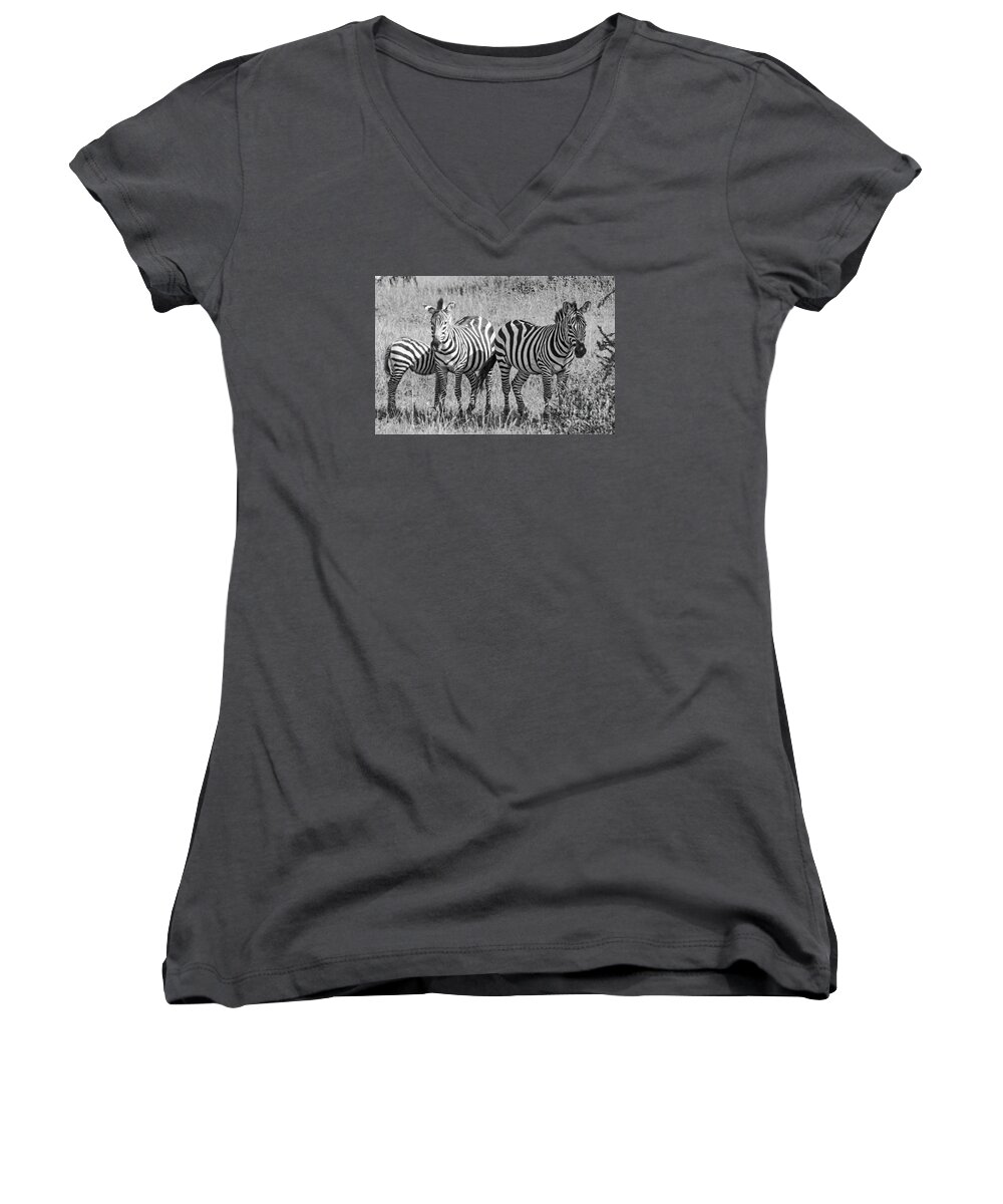 Zebras Women's V-Neck featuring the photograph Zebras in thought by Pravine Chester