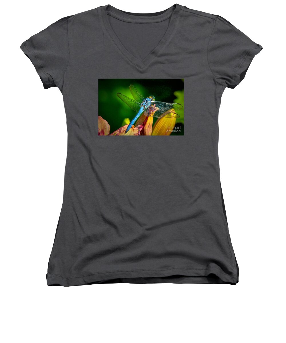 Beautiful Women's V-Neck featuring the photograph Blue Dragonfly #2 by Susan Rydberg