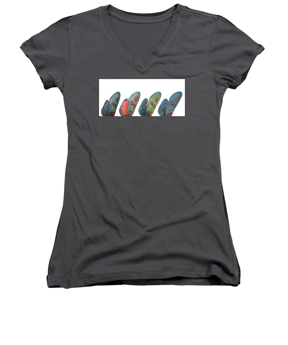 Specimen Women's V-Neck featuring the photograph Burnet moth wings by Martinez Clavel
