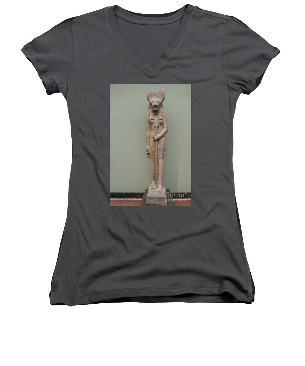 Art Women's V-Neck featuring the photograph The Lion Goddess Sekhmet. by Patricia Hofmeester