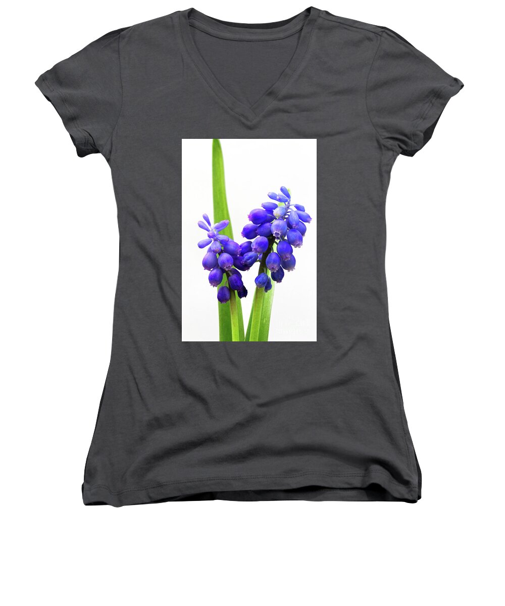 Tiny Women's V-Neck featuring the photograph tiny blue bell shaped blue flowers cluster Grape hyacinth Muscar #1 by Robert C Paulson Jr