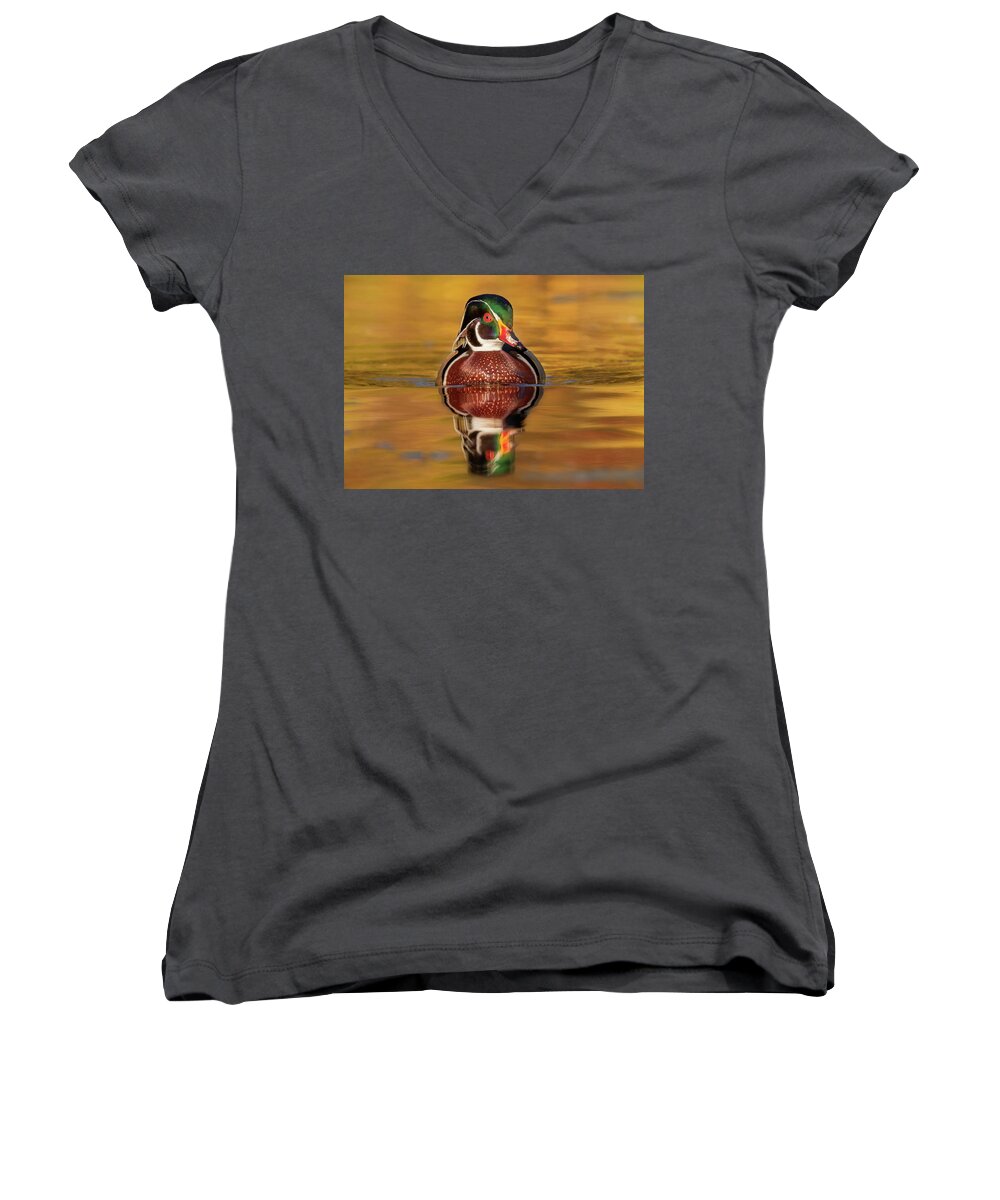 Adult Women's V-Neck featuring the photograph Wood Duck by Jerry Fornarotto