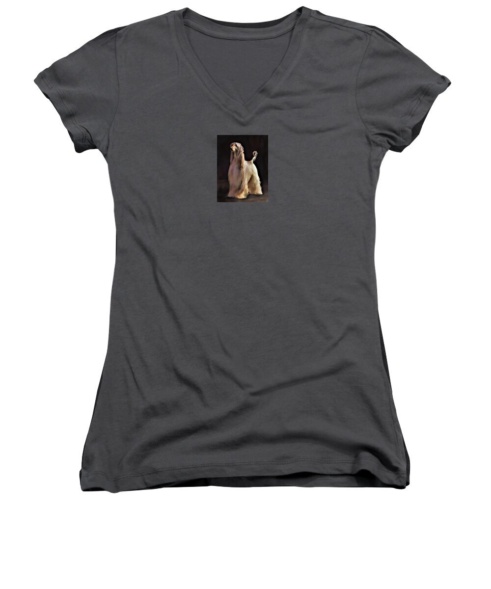 Afghan Hound Women's V-Neck featuring the digital art Afghan Hound #2 by Diane Chandler