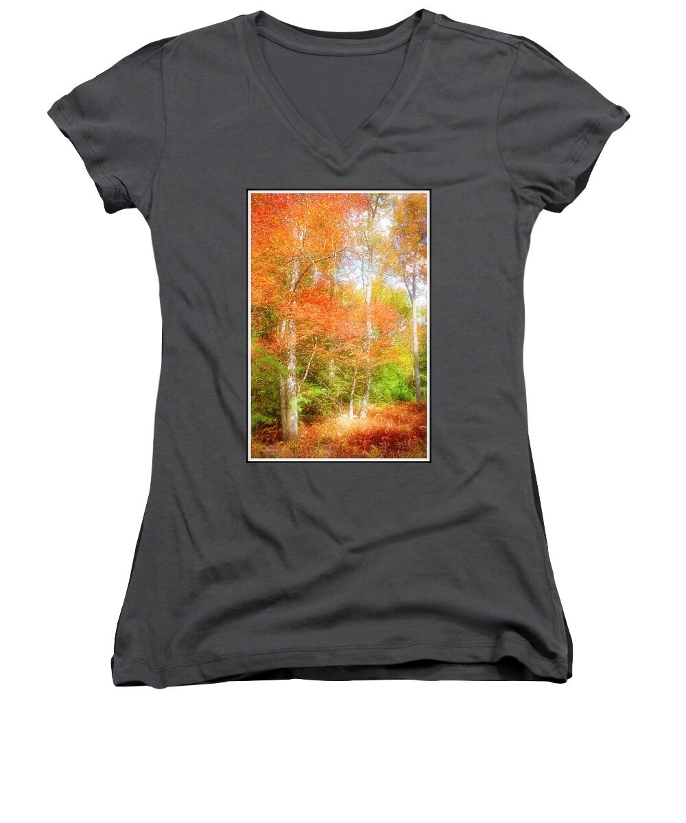 Environment Women's V-Neck featuring the photograph Forest Interior, Autumn, Pocono Mountains, Pennsylvania #3 by A Macarthur Gurmankin
