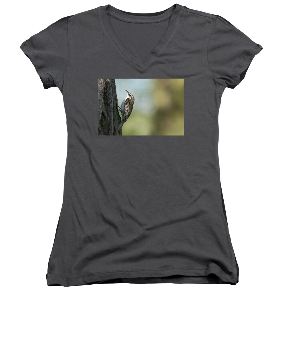 Photography Women's V-Neck featuring the photograph Treecreeper #4 by Wendy Cooper