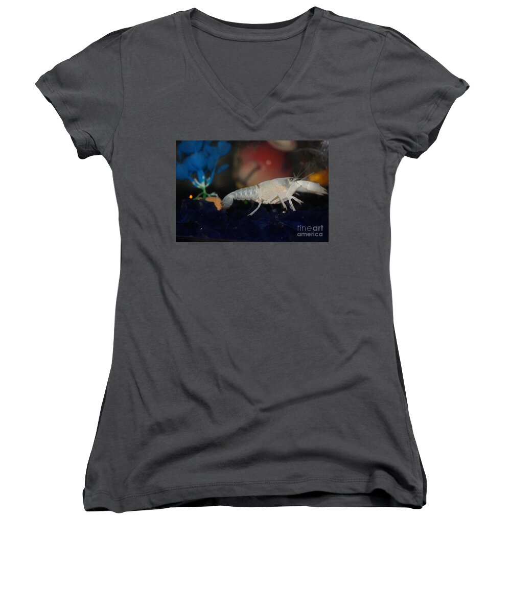 Albino Lobster Women's V-Neck featuring the photograph Albino Lobster by Barbra Telfer
