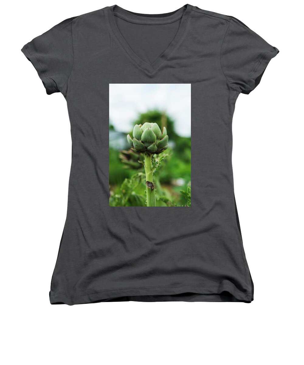 Ip_11225287 Women's V-Neck featuring the photograph Artichoke Growing In Garden by Nitin Kapoor