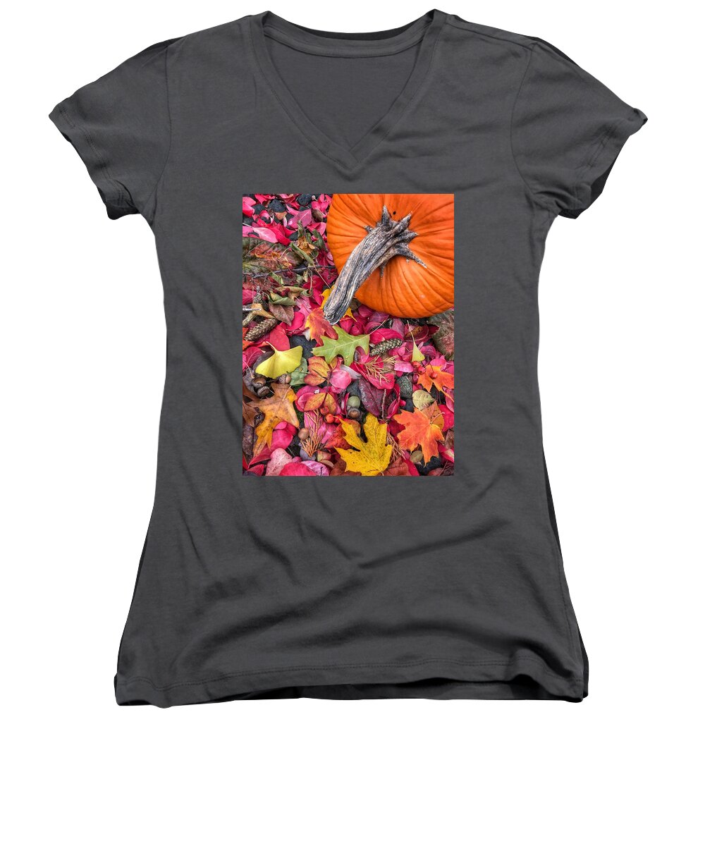 Pumpkin Women's V-Neck featuring the photograph Autumn Harvest by Jill Love