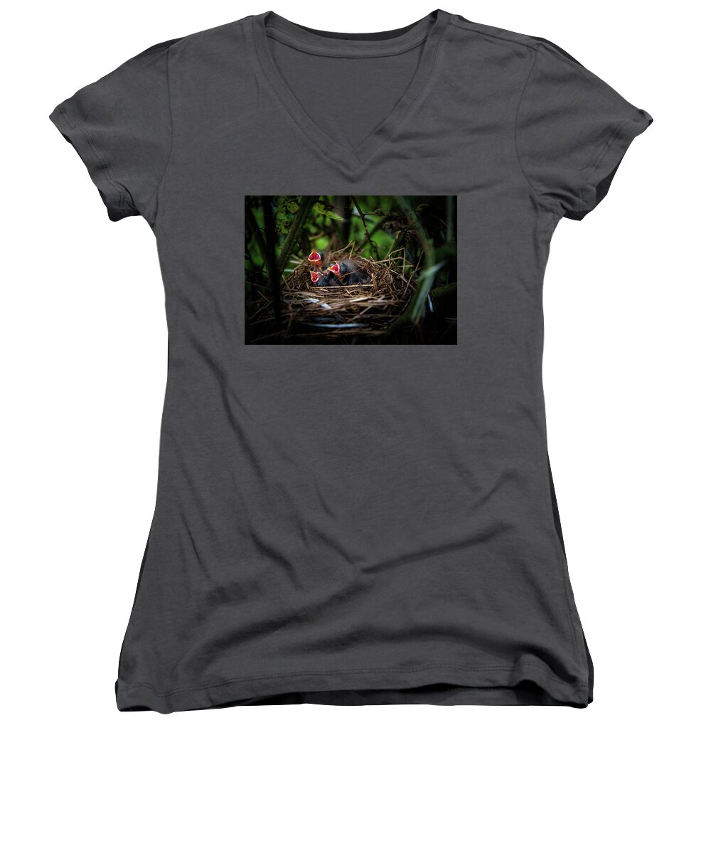 Chrystal Mimbs Women's V-Neck featuring the photograph Baby Birds by Greg and Chrystal Mimbs
