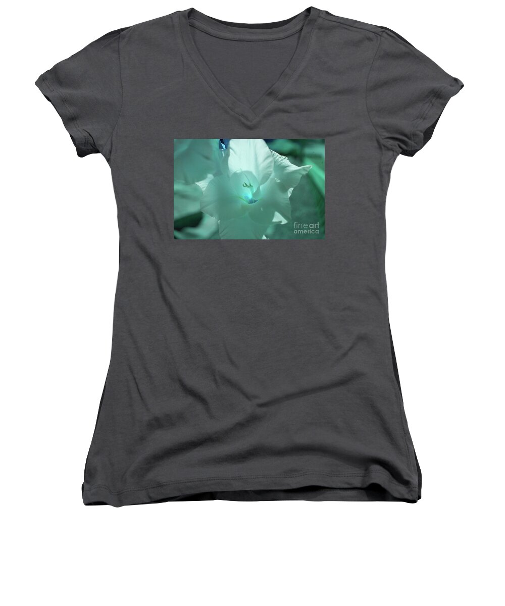 Blue Women's V-Neck featuring the photograph Blue Amaryllis by Rich Collins