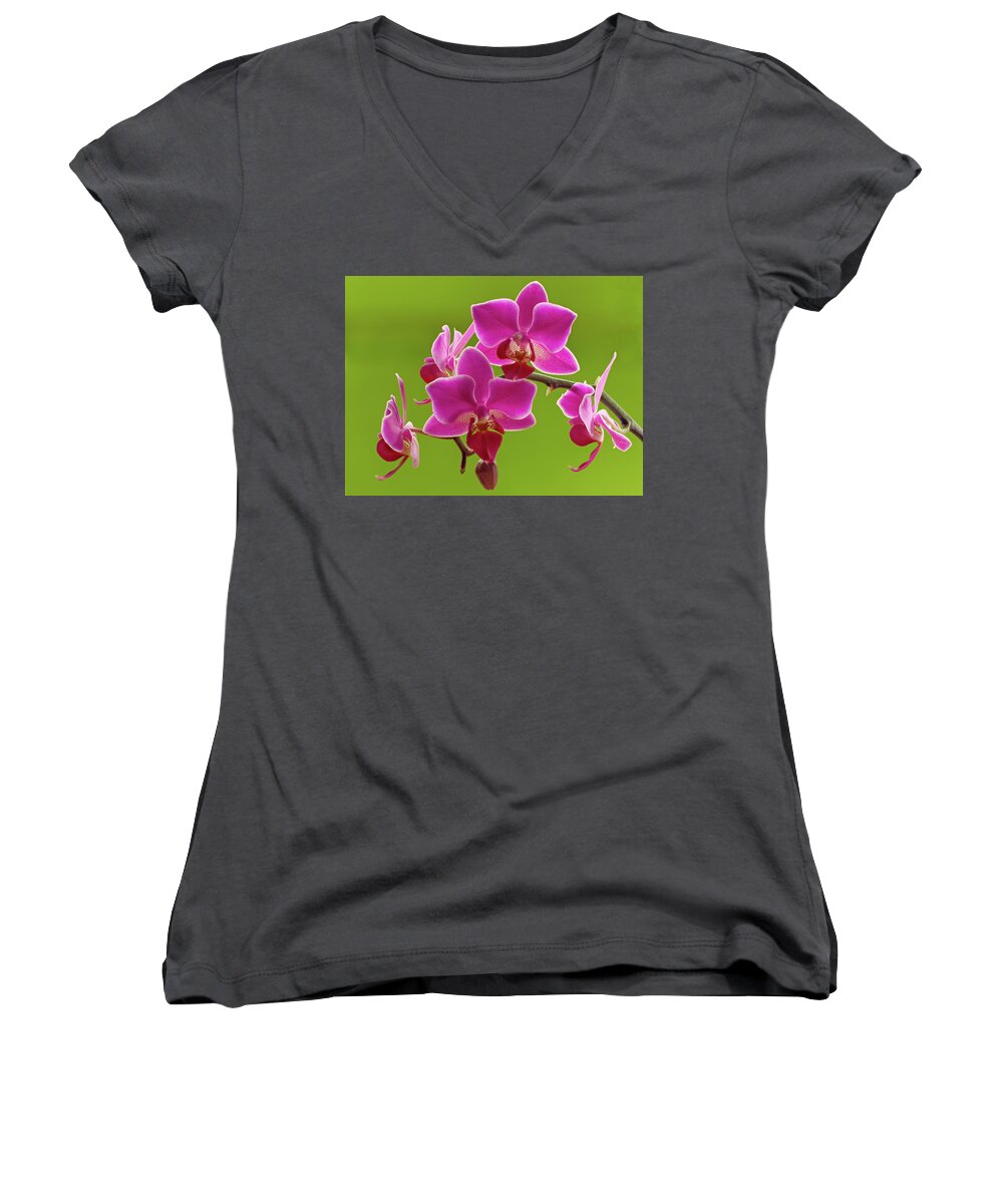 Brilliant Pink Orchid Women's V-Neck featuring the photograph Brilliant Pink Orchid by Jean Noren