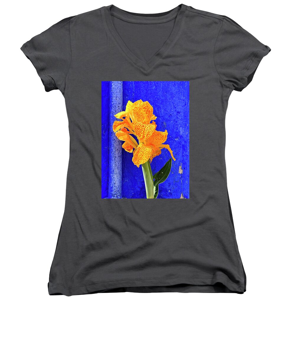 Canna Lily Women's V-Neck featuring the photograph Canna Azure by Jill Love