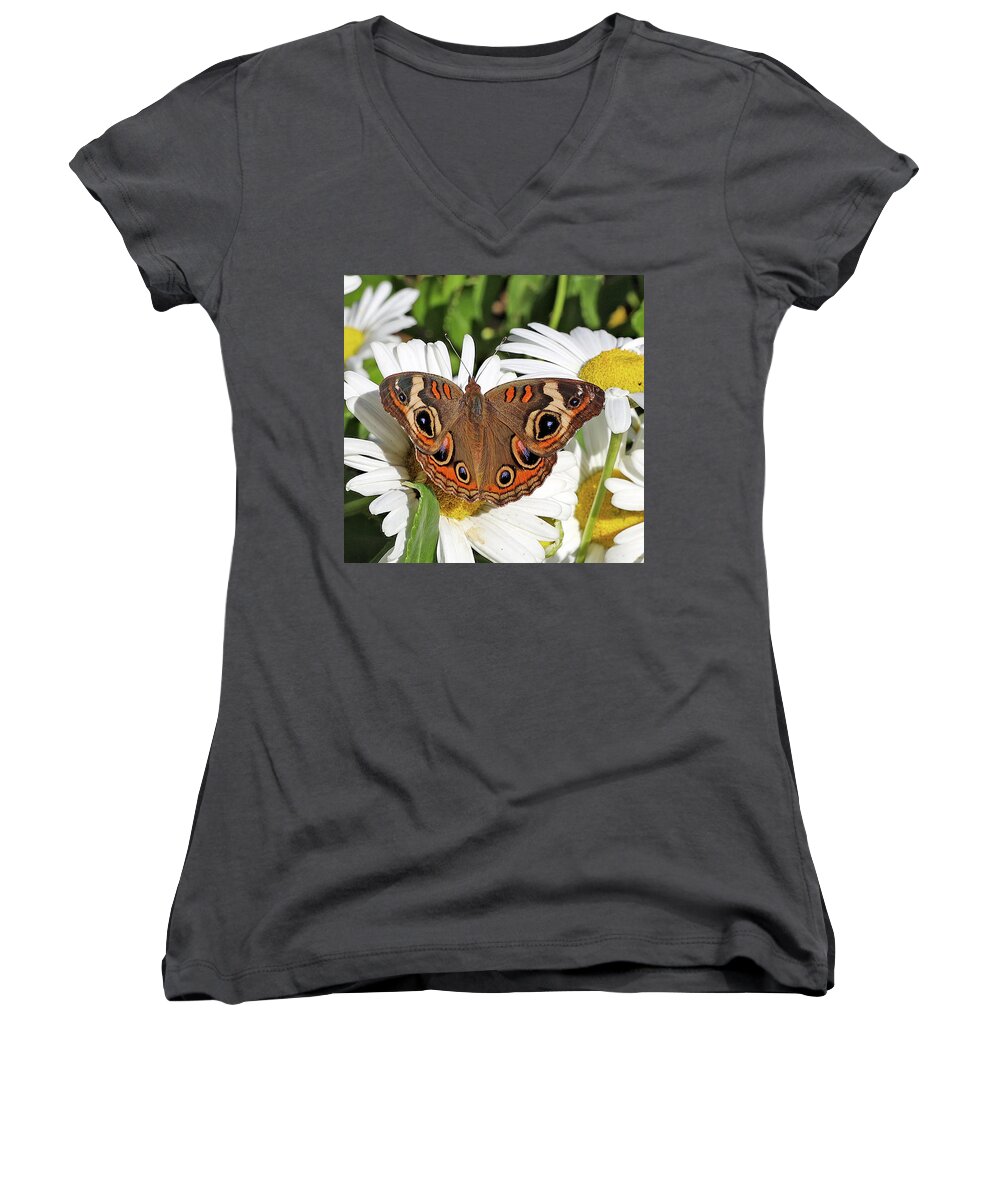 Brown Women's V-Neck featuring the photograph Common Buckeye by Allan Levin
