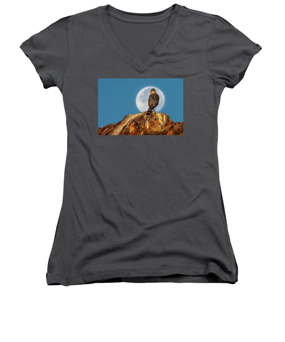 Accipiter Women's V-Neck featuring the photograph Coopers Hawk with Moon by Rick Mosher