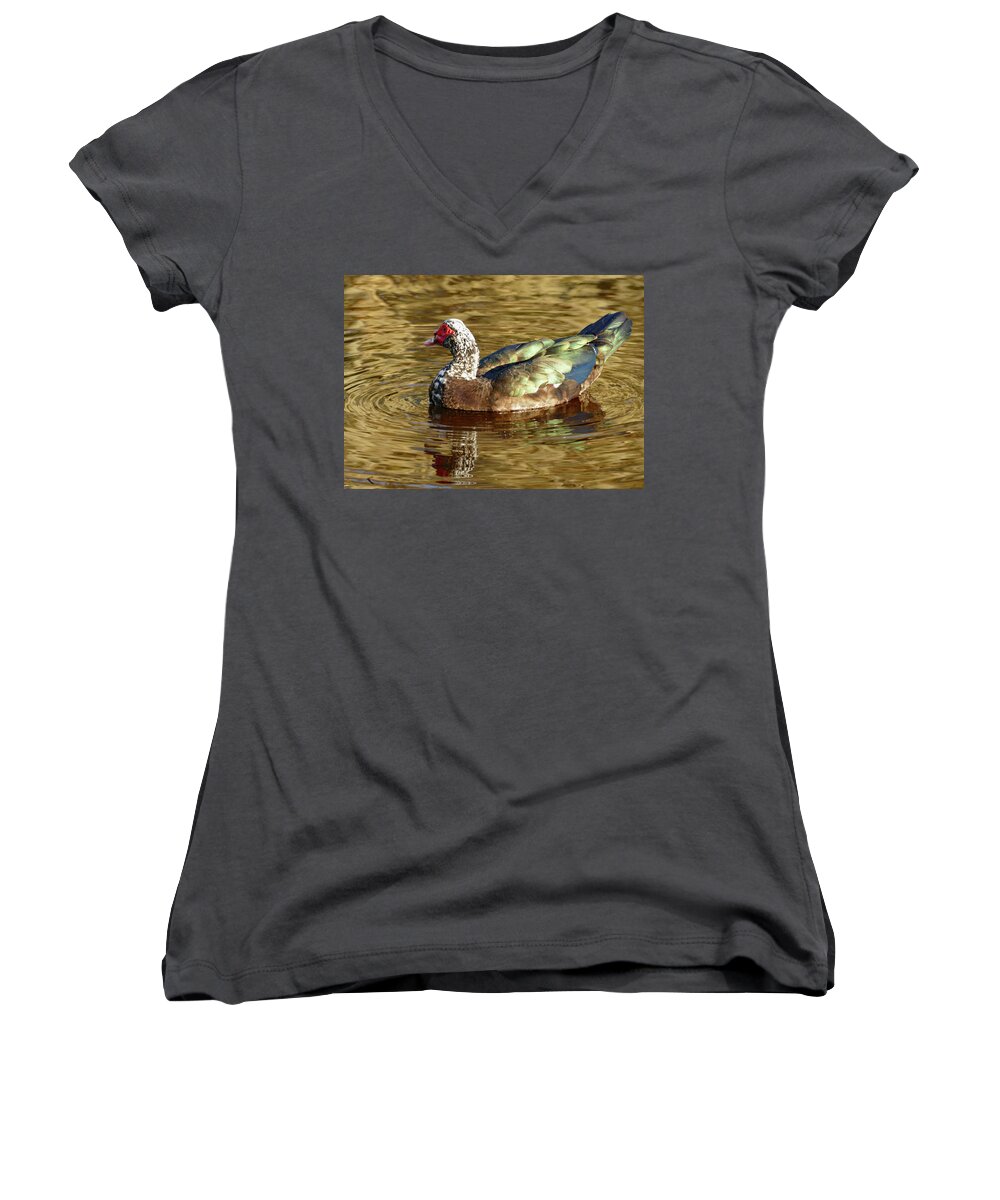 Duck Women's V-Neck featuring the photograph Duck on Golden Pond by Margaret Zabor
