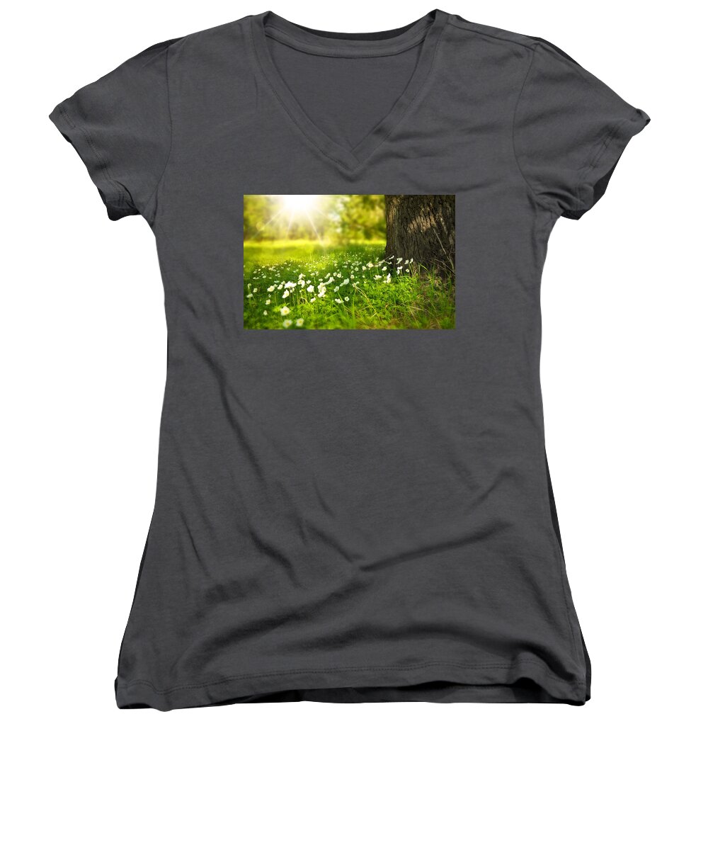 Flowers Women's V-Neck featuring the photograph Field of daisies by Top Wallpapers