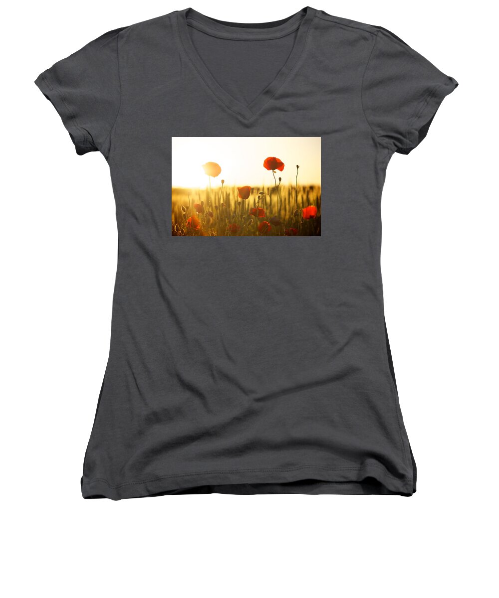 Flower Women's V-Neck featuring the photograph Field of poppies at dawn by Top Wallpapers