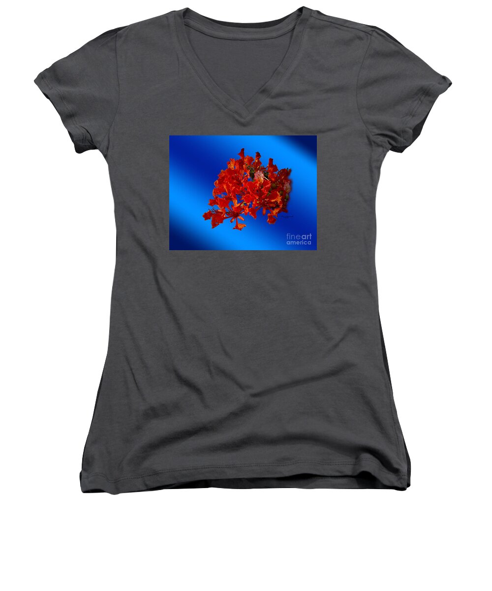 Brilliant Women's V-Neck featuring the photograph Flaming Royal Poinciana by Gary F Richards