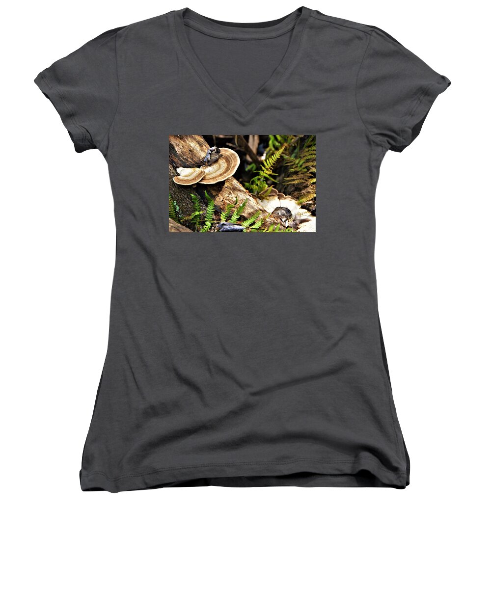 Mushrooms Women's V-Neck featuring the photograph Florida forest by Chuck Brown