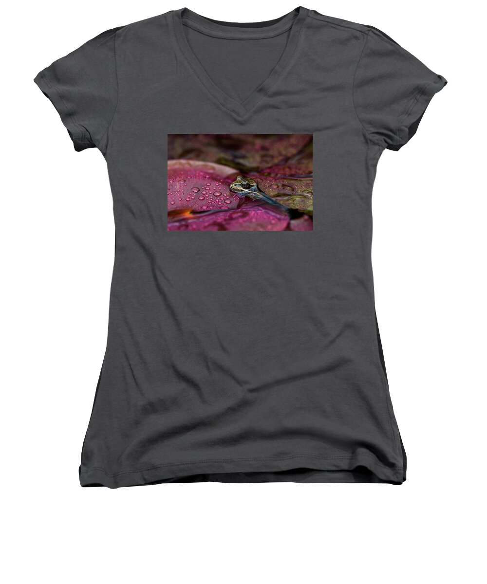 Amphibians Women's V-Neck featuring the photograph Froggy Weather by Robert Potts