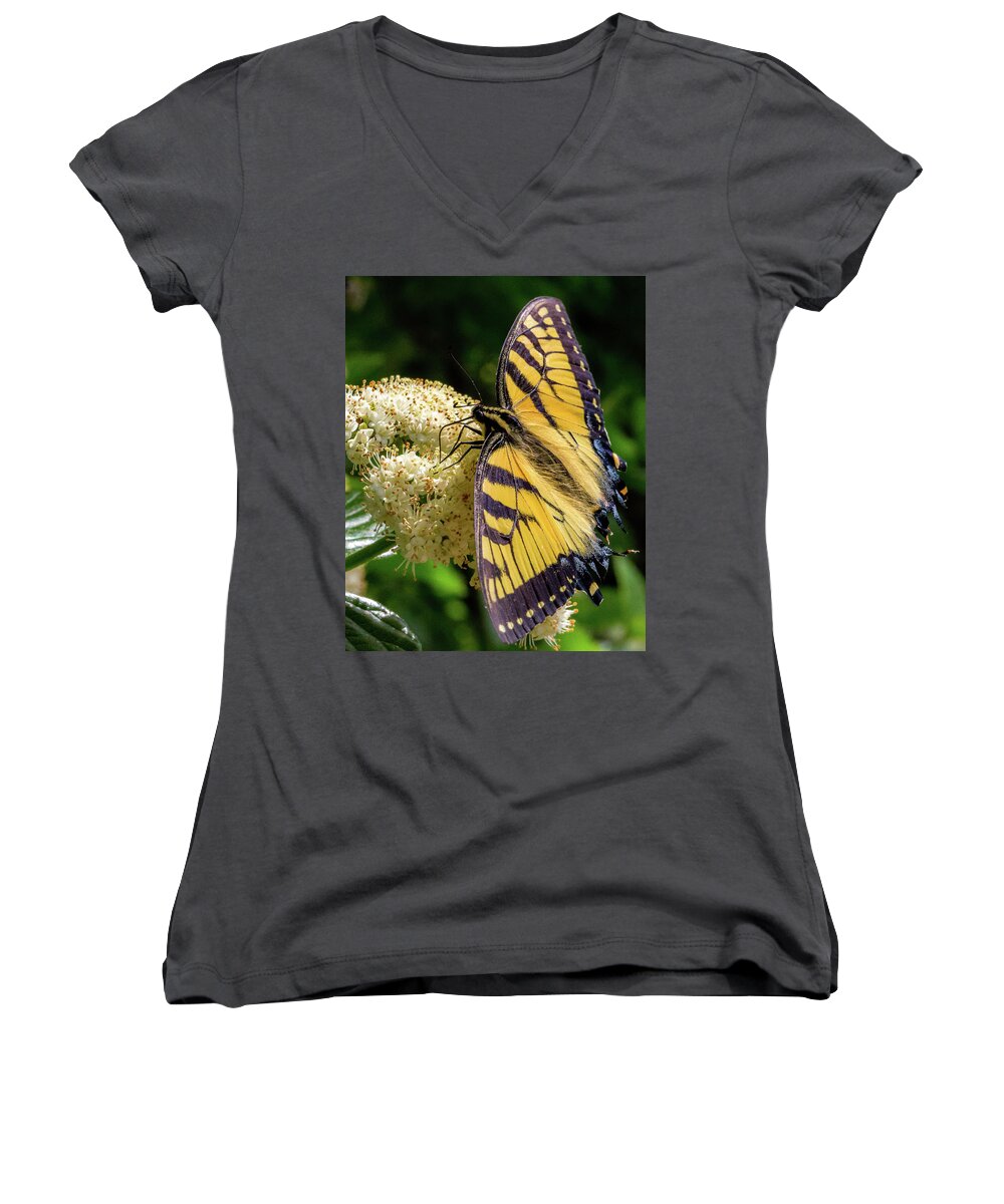 Butterfly Women's V-Neck featuring the photograph Fuzzy Butterfly by Lora J Wilson