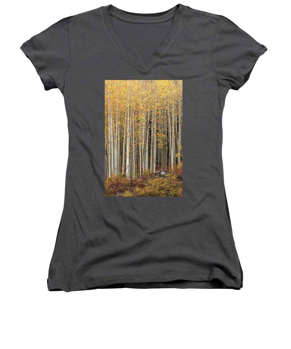 Colorado San Juans Women's V-Neck featuring the photograph Gold Dust by Angela Moyer
