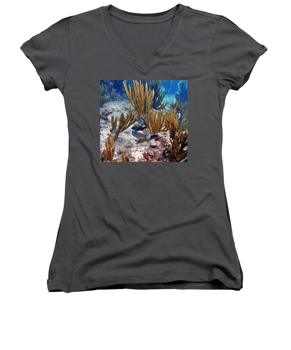 Gorgonian Coral Women's V-Neck featuring the photograph Gorgonian Parrotfish by Climate Change VI - Sales
