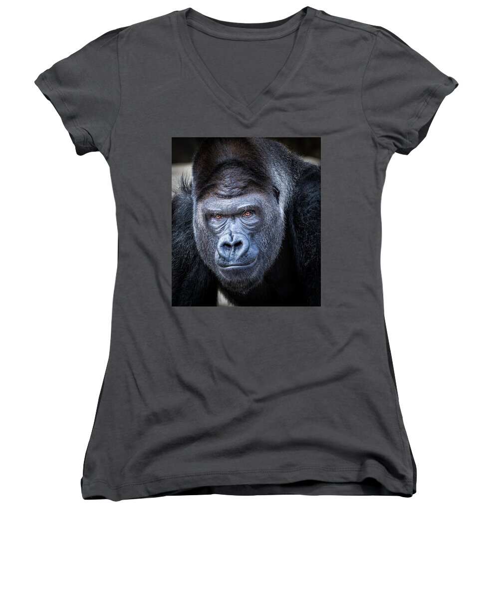 Gorillas Women's V-Neck featuring the photograph Gorrilla by Robert Bellomy