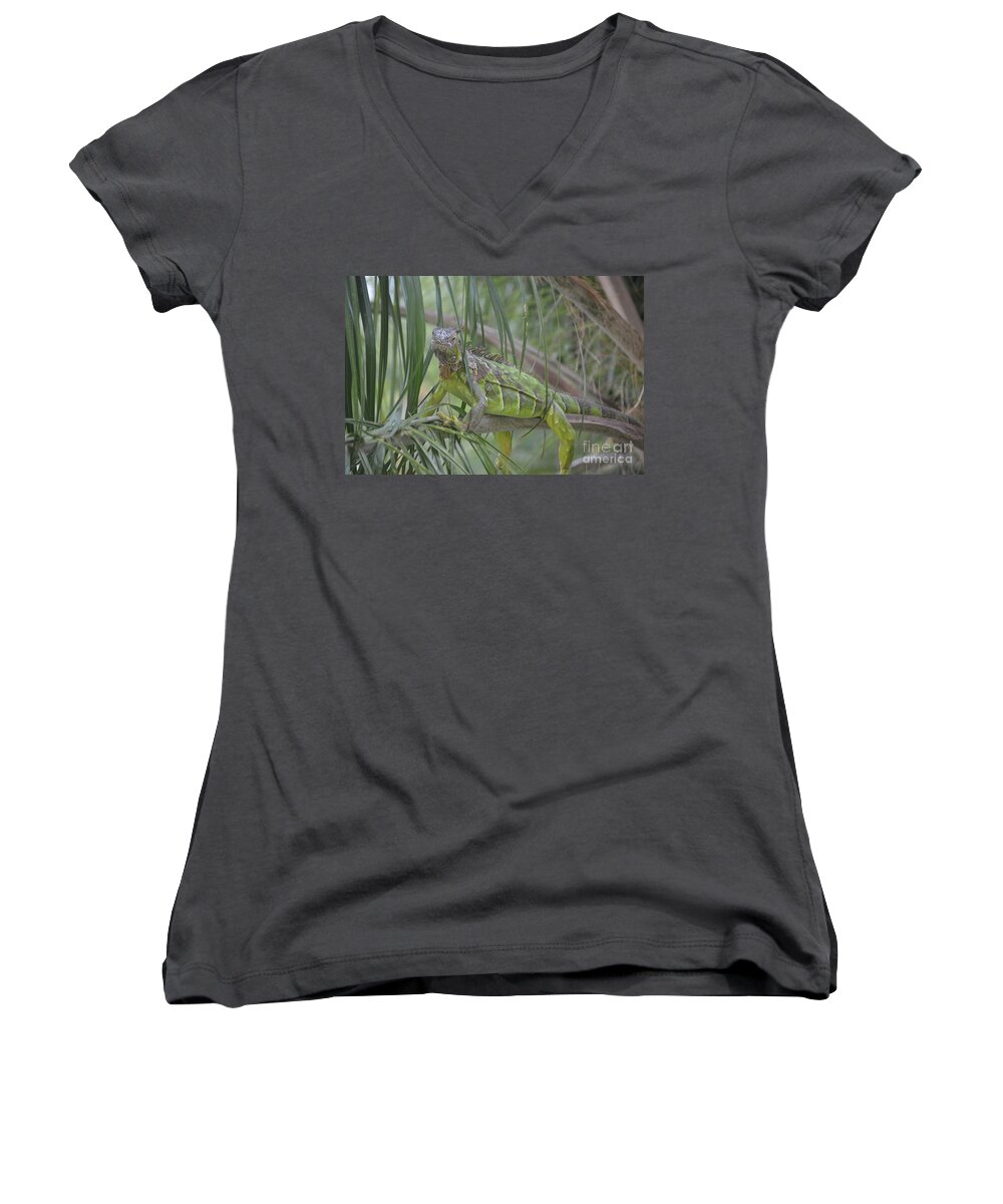  Aicy Women's V-Neck featuring the photograph How Relaxed Can I Get? by Aicy Karbstein