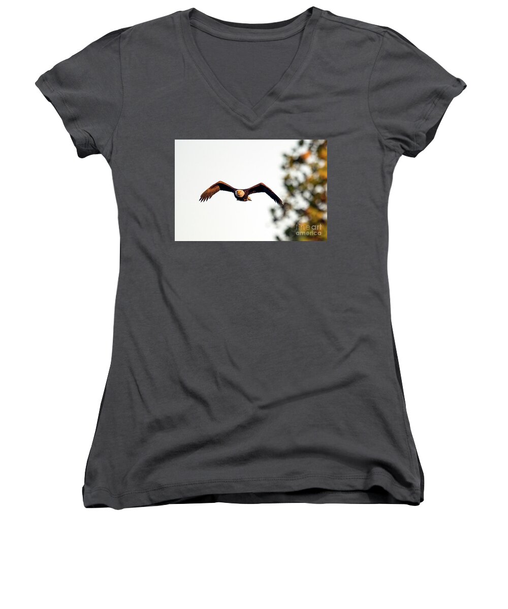 Bald Eagle Women's V-Neck featuring the photograph Incoming by Sam Rino