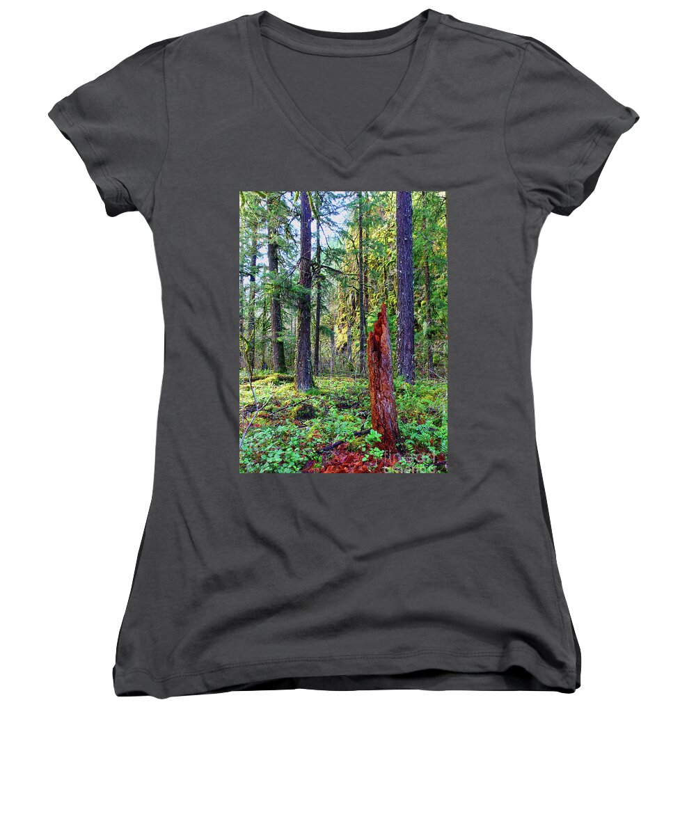 Conifer Women's V-Neck featuring the photograph January 1000 ft yet no snow Oregon USA conifer forest beautiful quiet mossy Mount Hood National by Robert C Paulson Jr