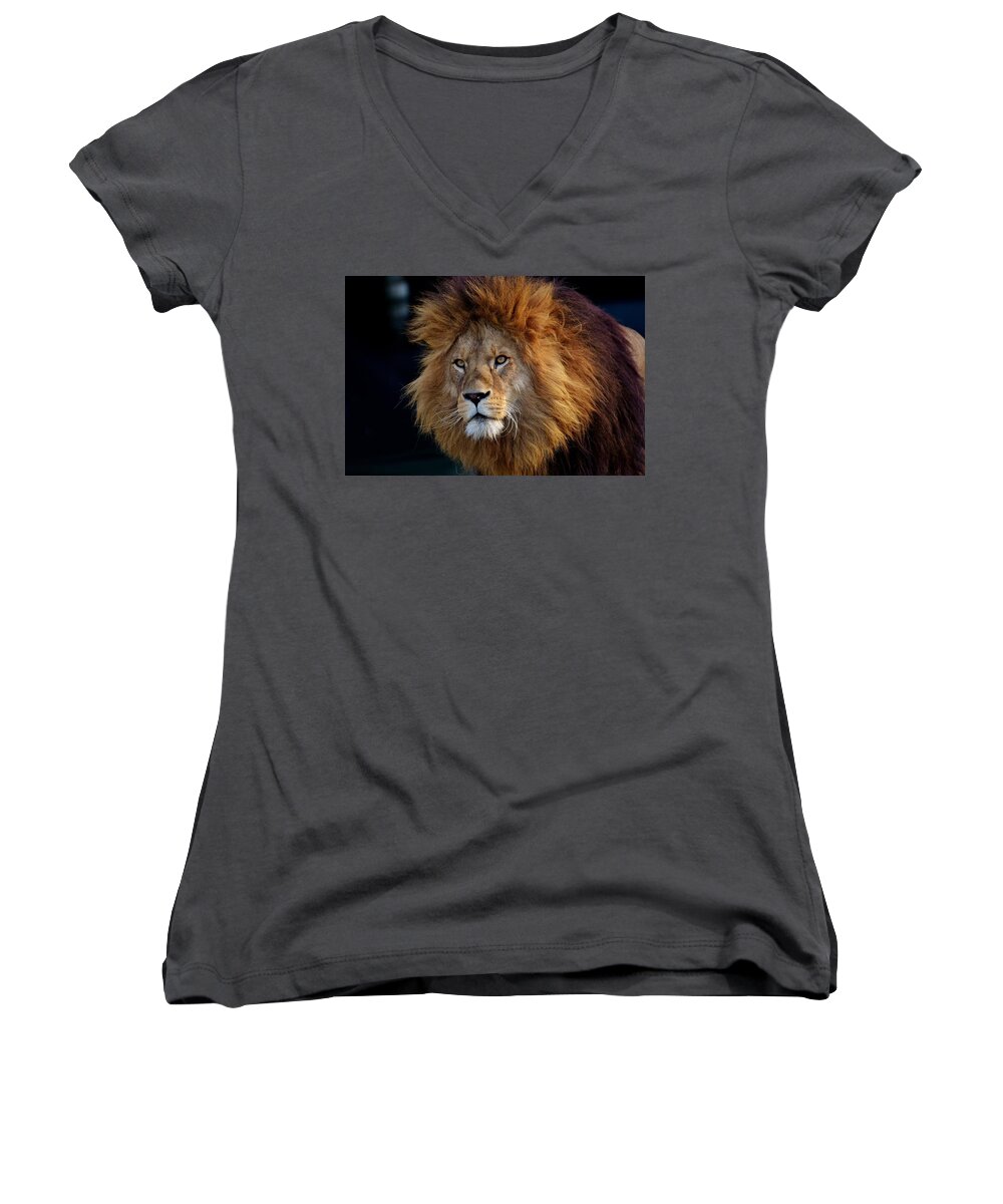  Women's V-Neck featuring the photograph King lion by Top Wallpapers