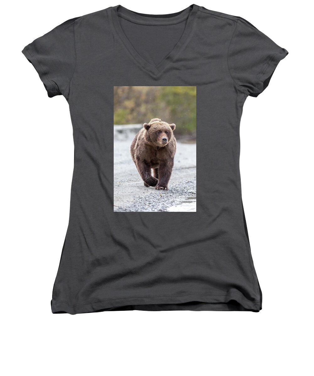Alaska Women's V-Neck featuring the photograph Focused Walk by Kevin Dietrich