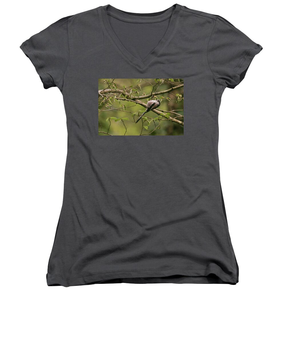 Wildlifephotograpy Women's V-Neck featuring the photograph Long Tailed Tit by Wendy Cooper